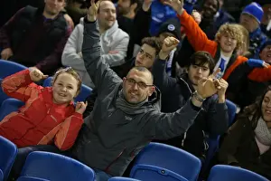 Sheffield Wednesday 08MAR16 Prints: Brighton and Hove Albion vs. Sheffield Wednesday: A Battle in the Sky Bet Championship (08)