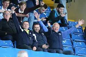 Brighton and Hove Albion vs. Sheffield Wednesday: Championship Play-Off Clash at Hillsborough (May 2016)