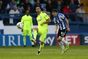 Brighton and Hove Albion vs. Sheffield Wednesday: Championship Play-Off Clash at Hillsborough (May 2016)