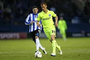 Brighton and Hove Albion vs. Sheffield Wednesday: Championship Play-Off Clash at Hillsborough (May 2016)