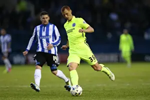 Brighton and Hove Albion vs. Sheffield Wednesday: Championship Play-Off Clash at Hillsborough (May 2016)