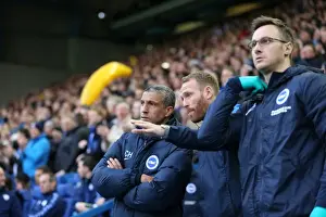 Brighton and Hove Albion vs. Sheffield Wednesday: Championship Play-Off Clash at Hillsborough (May 2016)