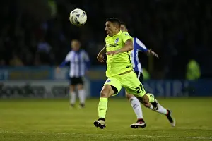Brighton and Hove Albion vs. Sheffield Wednesday: Championship Play-Off Clash at Hillsborough (May 2016)