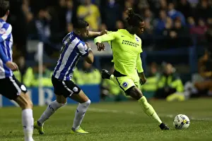 Brighton and Hove Albion vs. Sheffield Wednesday: Championship Play-Off Clash at Hillsborough (May 2016)