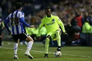 Brighton and Hove Albion vs. Sheffield Wednesday: Championship Play-Off Clash at Hillsborough (May 2016)