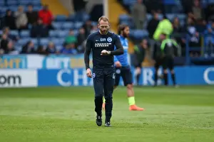 Brighton and Hove Albion vs. Sheffield Wednesday: Championship Play-Off Showdown (May 2016)