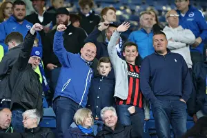 Brighton and Hove Albion vs. Sheffield Wednesday: Championship Play-Off Showdown (May 2016)