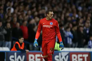 Brighton and Hove Albion vs. Sheffield Wednesday: Championship Play-Off Showdown (May 2016)
