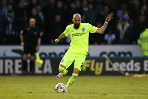 Brighton and Hove Albion vs. Sheffield Wednesday: Championship Play-Off Showdown (May 2016)