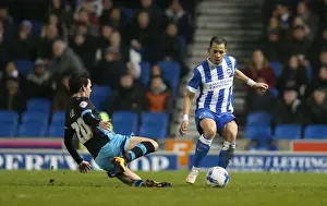 Brighton and Hove Albion vs. Sheffield Wednesday: A Championship Showdown (08.03.2016)