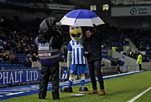 Brighton and Hove Albion vs. Sheffield Wednesday: A Championship Showdown (08.03.2016)