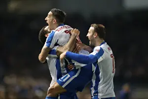 Brighton and Hove Albion vs. Sheffield Wednesday: A Championship Showdown (January 2017)