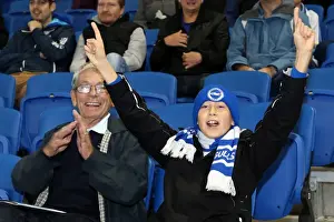 Sheffield Wednesday - 01-10-2013 Prints: Brighton & Hove Albion vs. Sheffield Wednesday: A Home Battle (2013-14 Season)