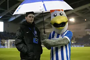 Brighton and Hove Albion vs. Sheffield Wednesday: Intense Sky Bet Championship Clash (08.03.2016)