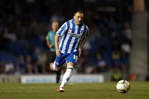 Sheffield Wednesday - 14-09-2012 Prints: Brighton & Hove Albion vs. Sheffield Wednesday: Revisiting the Thrills of the 14-09-2012 Home Game