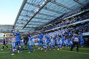 Brighton and Hove Albion vs Sheffield Wednesday: Sky Bet Championship Play-Off Showdown (16 May 2016)