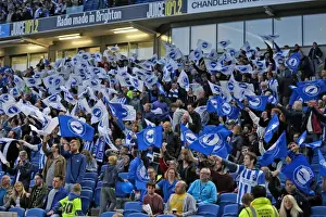 Brighton and Hove Albion vs. Sheffield Wednesday: Sky Bet Championship Play-Off Showdown (16 May 2016)
