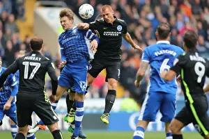 Brighton and Hove Albion vs Sheffield Wednesday: Sky Bet Championship Showdown at Hillsborough (10/01/2016)
