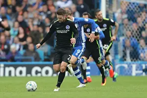 Brighton and Hove Albion vs Sheffield Wednesday: Sky Bet Championship Showdown at Hillsborough (10/01/2016)