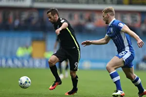 Brighton and Hove Albion vs Sheffield Wednesday: Sky Bet Championship Showdown at Hillsborough (10/01/2016)