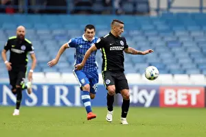 Brighton and Hove Albion vs Sheffield Wednesday: Sky Bet Championship Showdown at Hillsborough (10/01/2016)