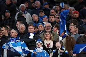 Images Dated 2nd January 2012: Brighton & Hove Albion vs Southampton (02-01-12): A Look Back at the 2011-12 Home Game