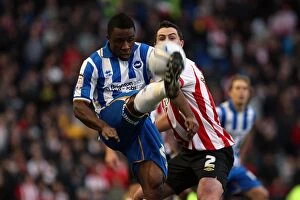 Images Dated 2nd January 2012: Brighton & Hove Albion vs Southampton (02-01-12): A Look Back at Our 2011-12 Home Season