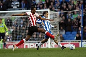 Images Dated 2nd January 2012: Brighton & Hove Albion vs. Southampton (02-01-12): A Look Back at Our 2011-12 Home Season