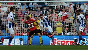 Images Dated 30th March 2019: Brighton and Hove Albion vs. Southampton: Premier League Battle at American Express Community