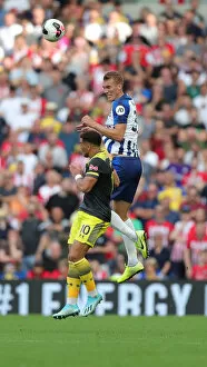Images Dated 24th August 2019: Brighton and Hove Albion vs. Southampton: Premier League Battle at American Express Community