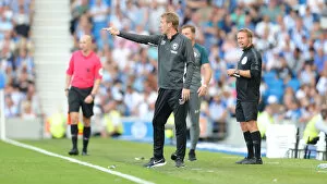 Images Dated 24th August 2019: Brighton and Hove Albion vs. Southampton: Premier League Showdown at American Express Community