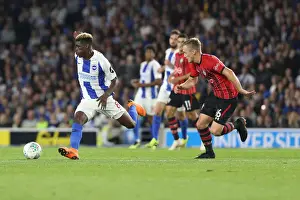 Brighton and Hove Albion vs. Southampton: Carabao Cup Showdown at American Express Community Stadium (28.08.18)