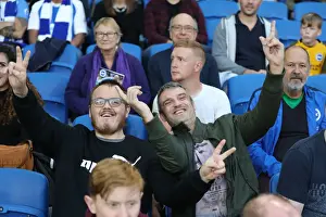 Brighton and Hove Albion vs. Southampton: Carabao Cup Showdown at American Express Community Stadium (28.08.18)