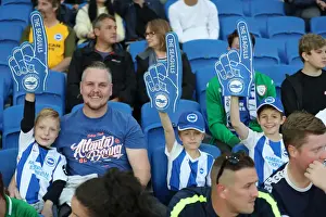 Brighton and Hove Albion vs. Southampton: Carabao Cup Showdown at American Express Community Stadium (28.08.18)