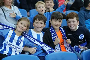 Brighton and Hove Albion vs. Southampton: Carabao Cup Showdown at American Express Community Stadium (28.08.18)