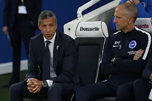 Brighton and Hove Albion vs. Southampton: Carabao Cup Showdown at American Express Community Stadium (28.08.18)