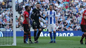 Brighton and Hove Albion vs. Southampton: March Showdown in the Premier League (30MAR19)