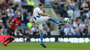Brighton and Hove Albion vs. Southampton: Premier League Battle at American Express Community Stadium (30.03.19)
