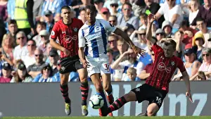 Brighton and Hove Albion vs. Southampton: Premier League Battle at American Express Community Stadium (30.03.19)
