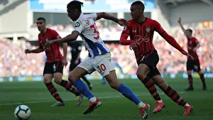 Brighton and Hove Albion vs Southampton: Premier League Showdown at American Express Community Stadium (30.03.19)