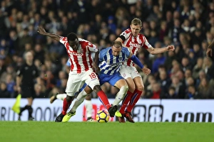 Brighton and Hove Albion vs Stoke City: Premier League Showdown at American Express Community Stadium (November 2017)