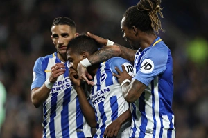 Brighton and Hove Albion vs Stoke City: Premier League Showdown at American Express Community Stadium (November 2017)