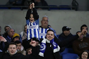 Brighton and Hove Albion vs Stoke City: Premier League Showdown at American Express Community Stadium (November 2017)