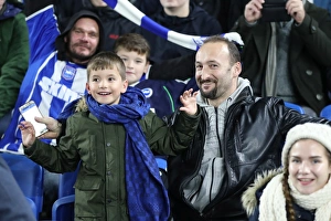 Brighton and Hove Albion vs Stoke City: Premier League Showdown at American Express Community Stadium (November 2017)