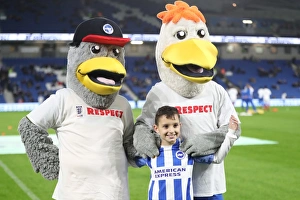 Brighton and Hove Albion vs Stoke City: Premier League Showdown at American Express Community Stadium (November 2017)