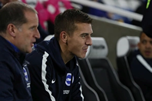 Brighton and Hove Albion vs Stoke City: Premier League Showdown at American Express Community Stadium (November 2017)