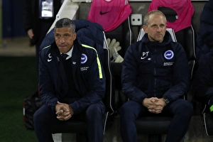 Brighton and Hove Albion vs Stoke City: Premier League Showdown at American Express Community Stadium (November 2017)