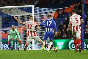 Brighton and Hove Albion vs Stoke City: Premier League Showdown at American Express Community Stadium (November 2017)