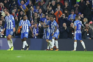 Brighton and Hove Albion vs Stoke City: Premier League Showdown at American Express Community Stadium (November 2017)
