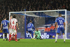 Brighton and Hove Albion vs Stoke City: Premier League Showdown at American Express Community Stadium (November 2017)